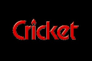 Logo Cricket Feuerzeuge